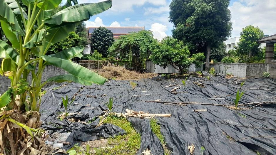 ขายที่ดิน 163 ตรว. แถวสี่แยกพิชัย ถนนนครไชยศรี เขตดุสิต ด้านหลังติดคลองสามเสน บรรยากาศดี สงบร่มรื่น 3