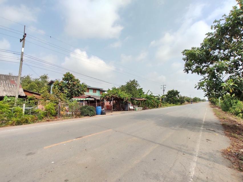 ขายที่ดินสวยๆ ติดถนน เลียบคลองชลประทาน ต่ำกว่าพื้นถนนประมาณ 2 เมตร 5