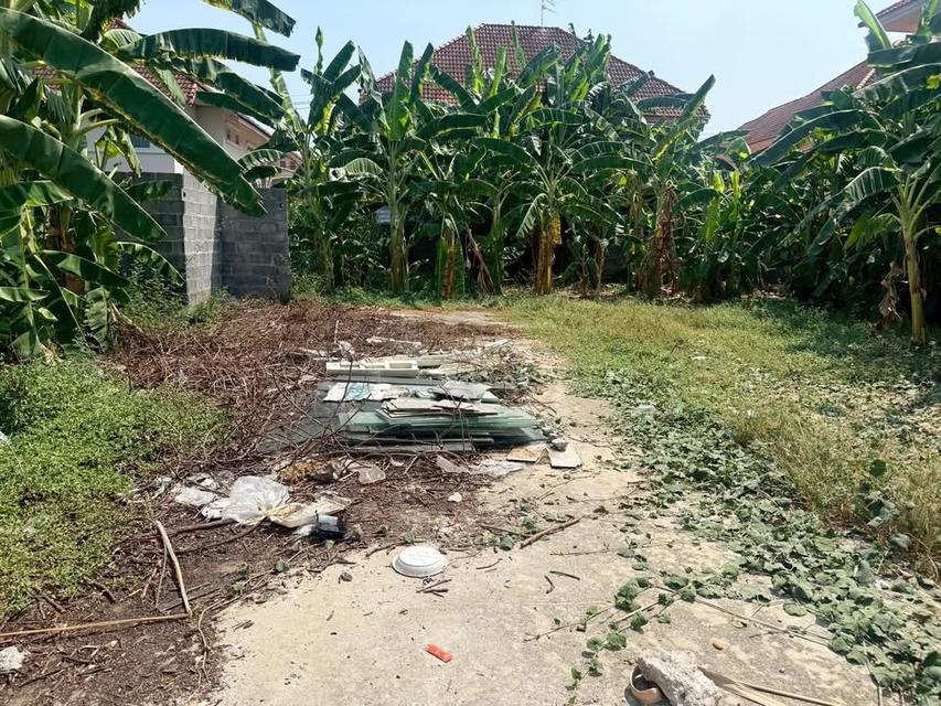 ขายถูกทีดินลาดสวาย 124 ตารางวา ติดถนนคอนกรีตสาธารณะ ถมแล้ว ซอย ร่วมสุข 3 อ.ลำลูกกา จ.ปทุมธานี 6