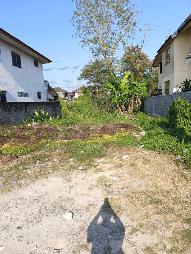 ขายที่ดิน 50 ตรว. ซอยรังสิต - นครนายก 59(เป๋าตุงกุ้งย่าง) เข้าซอยเพียง 800 เมตร ทำเลดีอยู่ในเขตชุมชน ที่สี่เหลี่ยม10x20เมตร เหมาะสร้างบ้านพักอาศัย 6