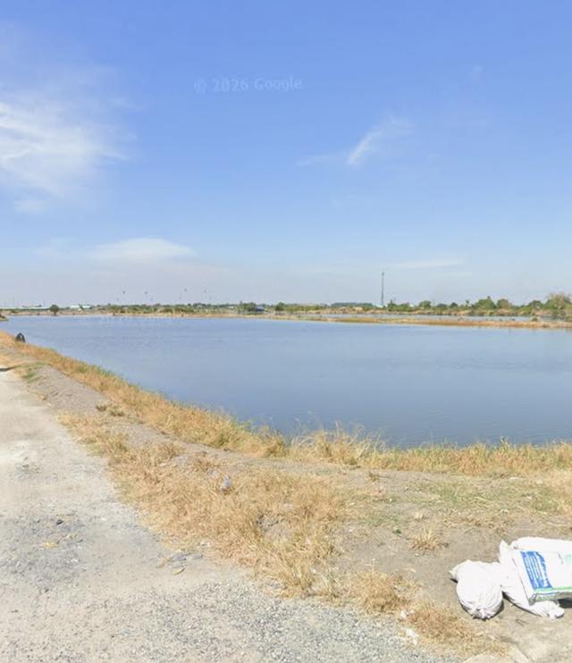 ขายที่บ่อปลา ขนาด 10 ไร่ ราคาไร่ละ  2.5 ล้าน ด่วน 3