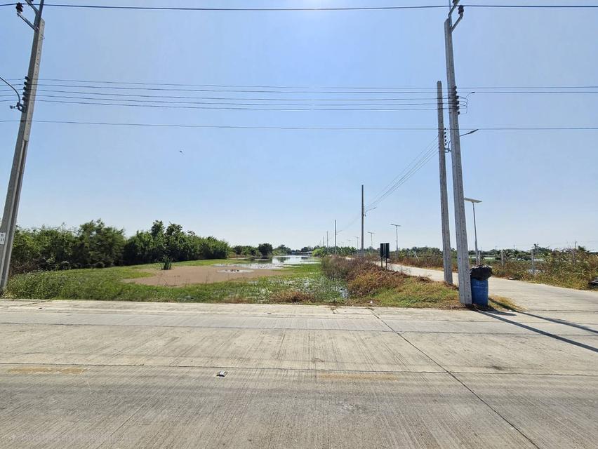 ขายด่วนที่ดิน แปลงใหญ่  บางเสาธง  สมุทรปราการ ติดถนนสาธารณะ แบ่งขายได้ 1