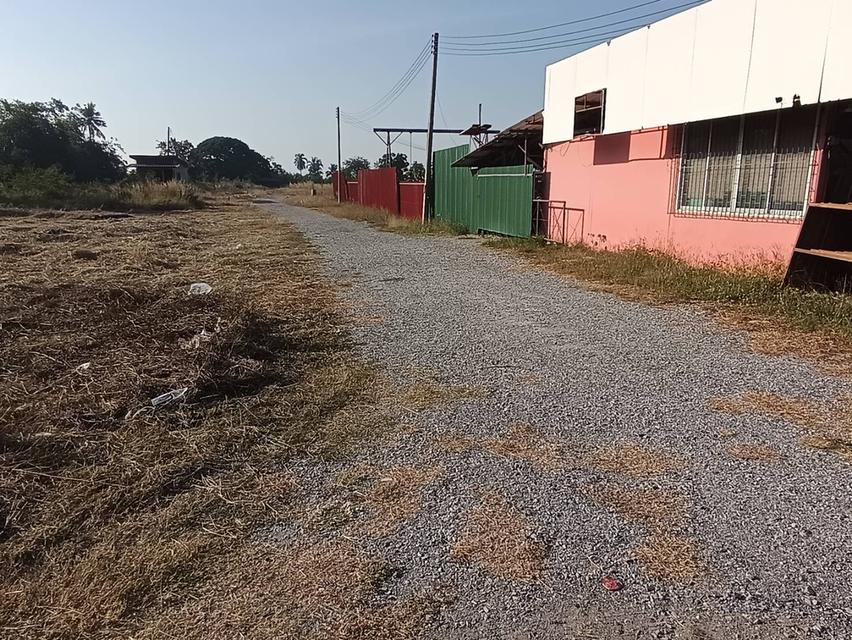 ที่ดินสุพรรณบุรีขาย ต่ำกว่าประเมิน 7