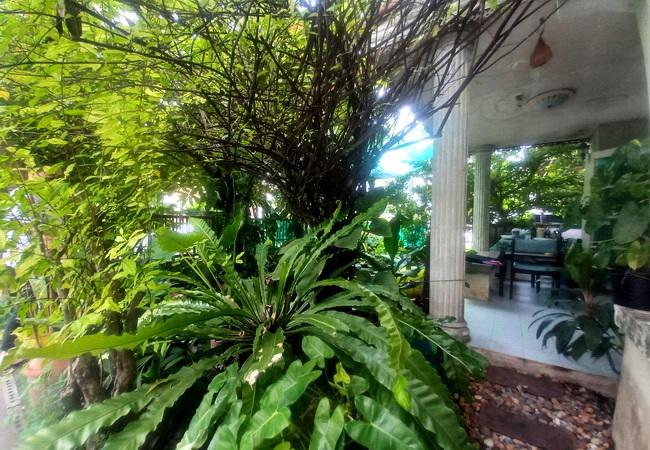 ขายบ้านเดี่ยว หมู่บ้านวราภิรมย์ วัชรพล ถนนสุขาภิบาล 5 เขตสายไหม กรุงเทพมหานคร