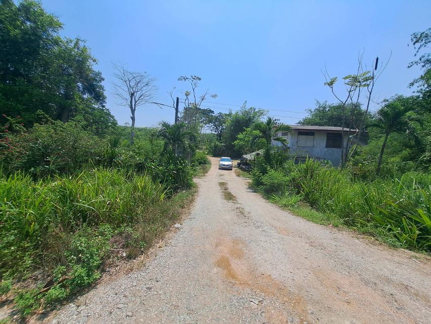 ขายที่ดินระยอง ที่ดินนิคมพัฒนาซอย11สาย15 เนื้อที่ 49-3-77.8 ไร่ ใกล้นิคมWHA36และBYDระยองเพียง 3.5 กม.รูปแปลงสวย 3