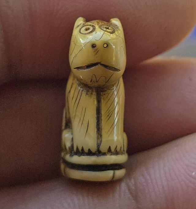 เสือแกะหลวงพ่อปาน วัดคลองด่าน 12