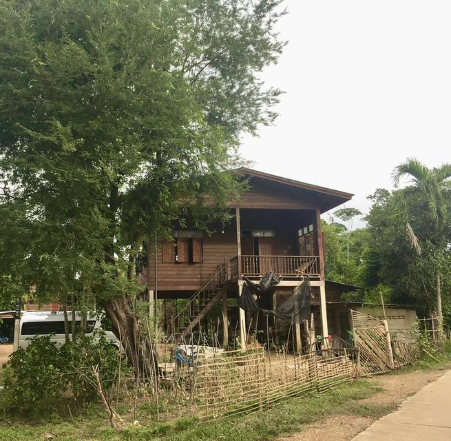 ขายบ้านไม้ พร้อมที่ดินราคาถูก