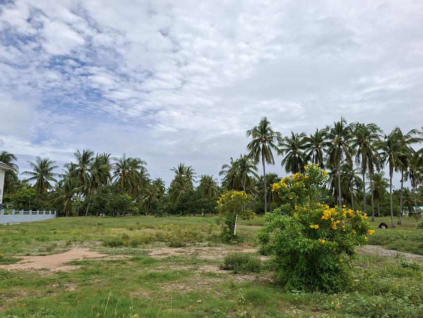 ที่ดินวามร้อยยอดใกล้ชายหาดสามร้อยยิด1.3กม.