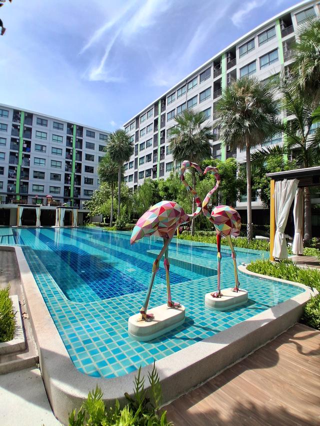 ให้เช่า กรีเน่คอนโด ดอนเมืองสรงประภา วิวสระ 34sq.m.9,500 15