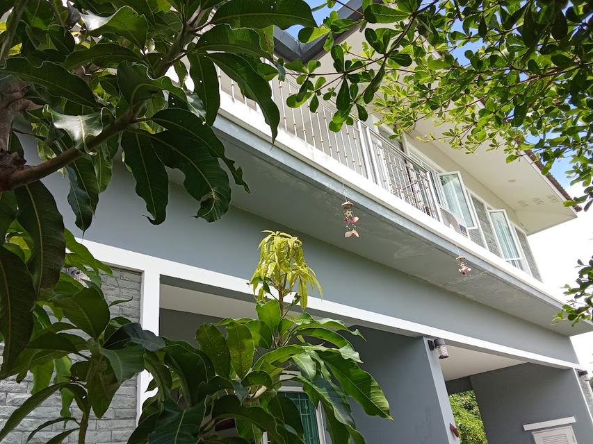 บ้านเดี่ยว 2ชั้น 3นอน 4น้ำ อยู่สันกำแพง เชียงใหม่ 4