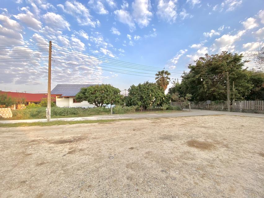 ขายที่ดินเนินพระทำเลดี 3 ไร่ ซ.ตรอกร่วมเจริญ ติดถนนคอนกรีต2ด้าน ใกล้หาดแสงจันทร์1.7กม. อ.เมืองระยอง 3