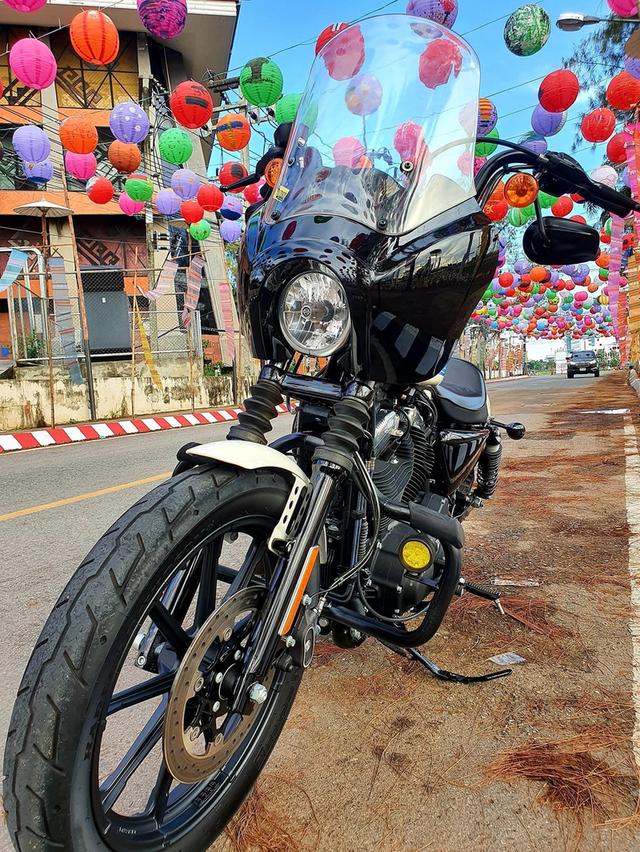 ขายรถ Harley Davidson Iron 1200 ปี 19 