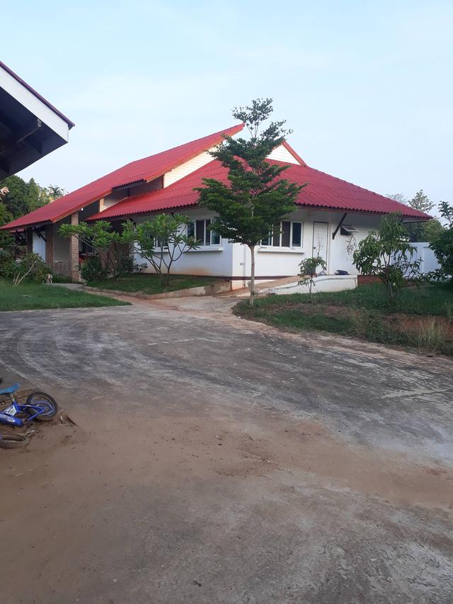 ขายบ้านเดี่ยวตำบลหนองระเวียงอำเภอเมืองนครราชสีมา บ้านเดี่ยวหลังใหญ่​ 5​ นอน3น้ำ #บ้านหลังเล็กอีก 2 หลัง   1