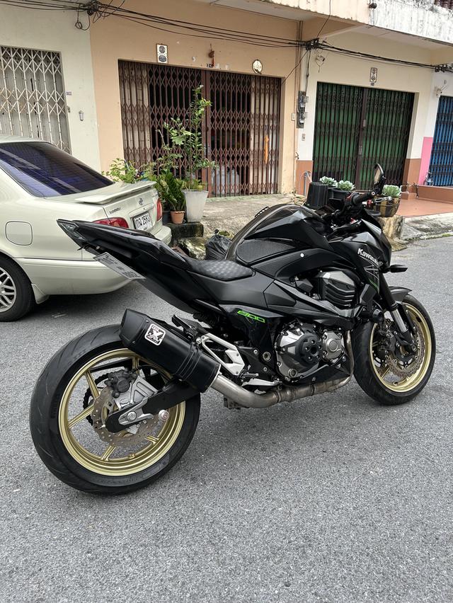 z800 ปี 2013