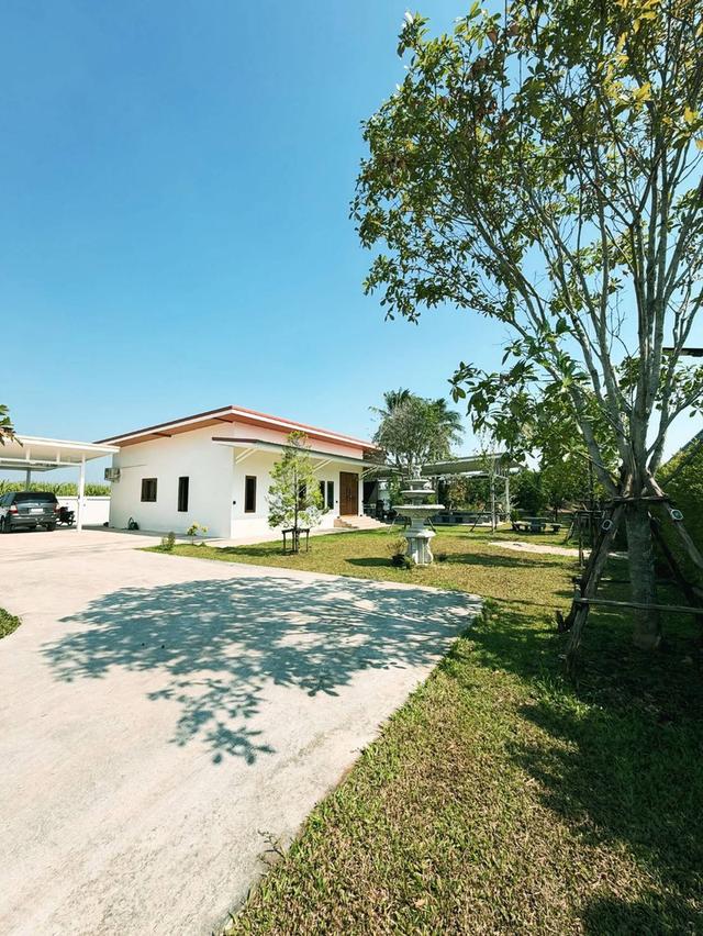 บ้านสวน​ 2หลัง​ พื้นที่​ 1ไร่​ กว่า​ ไม่ไกลจากกรุงเทพฯ​ 14