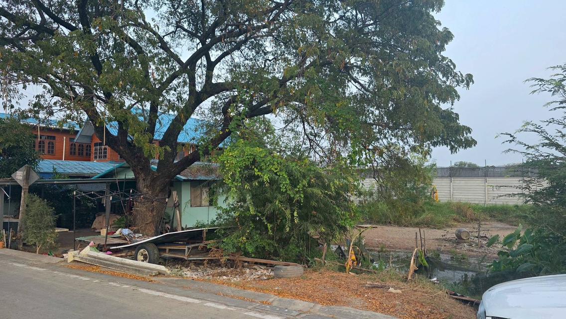 4/4 ม.6 ถ.โรงเรียนบ้านคลองเจ้าเมือง ต.คลองพระอุดม อ.ลาดหลุมแก้ว จ.ปทุมธานี 7