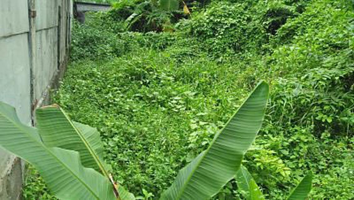 vacant land for sale Small plot suitable for making a single house, Phra Khanong, at the beginning of Soi 1