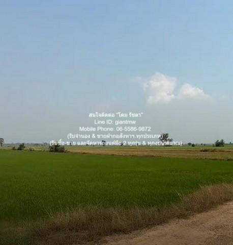 ขายที่ดินทุ่งนาข้าว ต.ระวิง อ.เมืองเพชรบูรณ์ จ.เพชรบูรณ์ 51-2-87 ไร่ ราคา 7.8 ล้านบาท