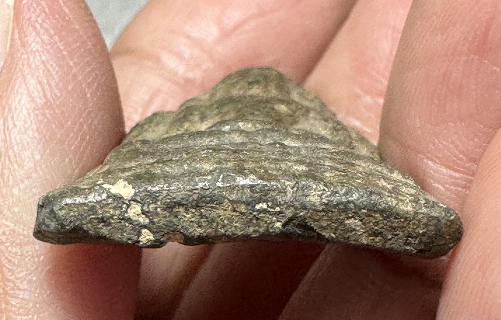 พระนางท่ามะปราง เนื้อชิน รูปที่ 9