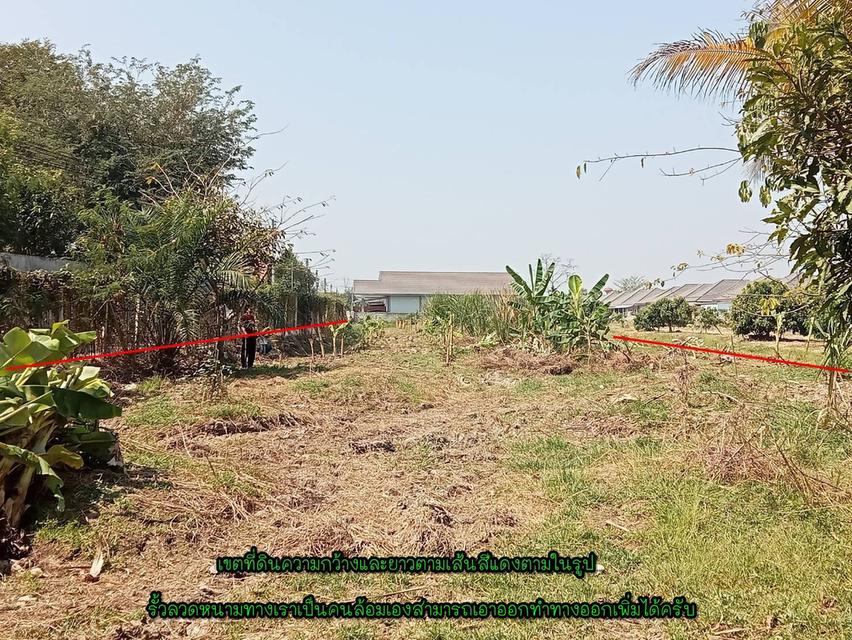ที่ดินเปล่า/ไม่แบ่งขาย 1