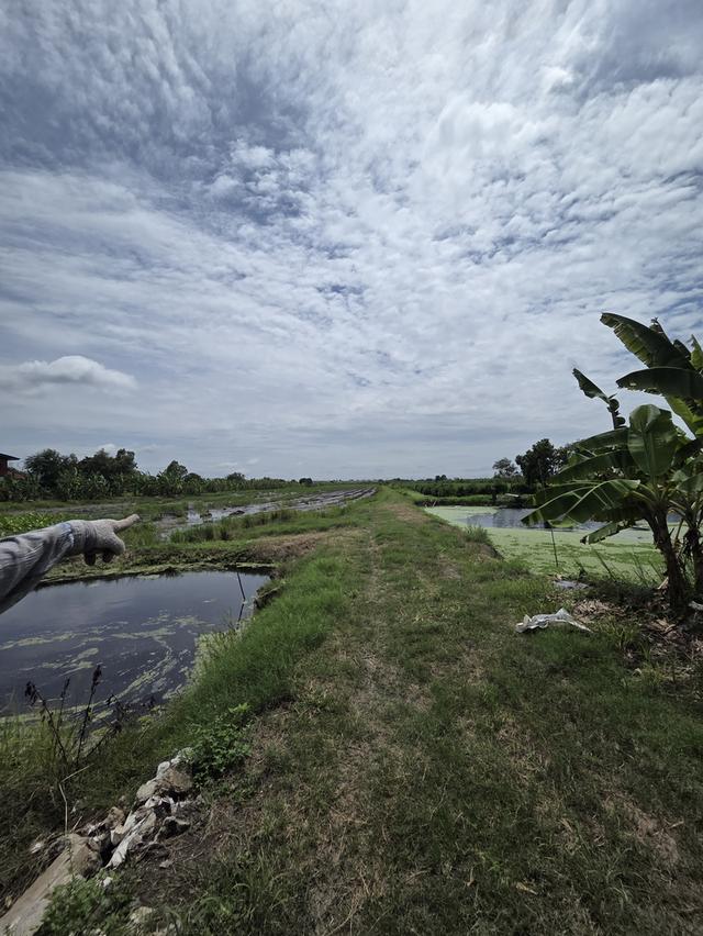 ขายที่ดินเปล่า หนองจอก ลำผักชี 4