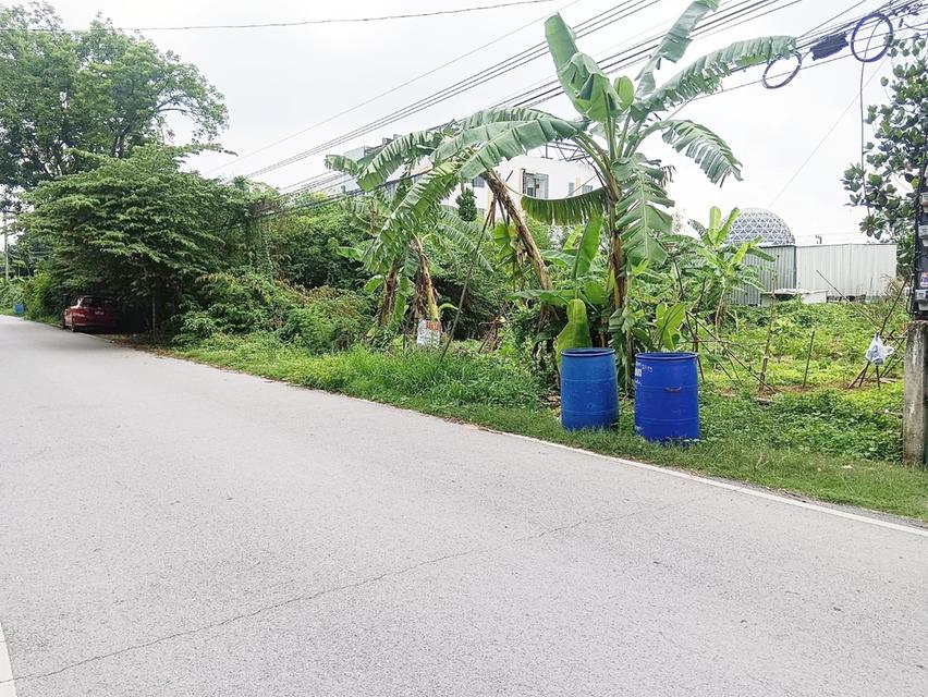 ขายที่ดิน 120 ตรว.ถมแล้ว ซอยคลองสาม 6/5 (ซอยทรัพย์สำราญ)