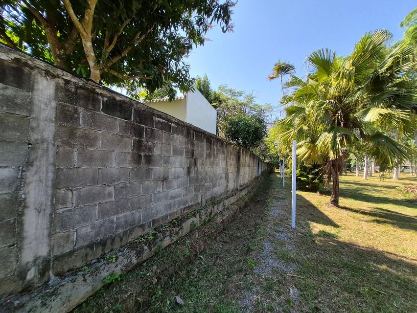 ที่ดิน ใกล้เชียงใหม่ไนท์ซาฟารี และ พืชสวนโลก จังหวัดเชียงใหม่ 8