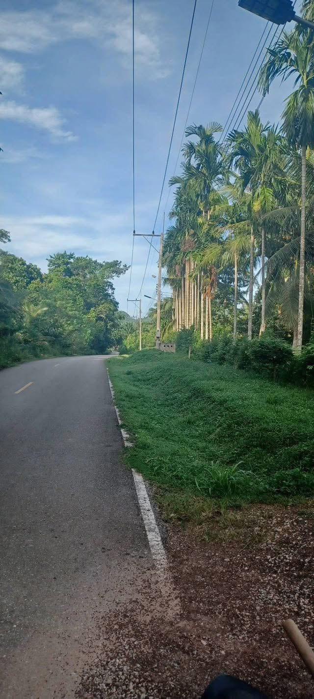 ขายสวนทุเรียนพร้อมบ้านพักอาศัย 11