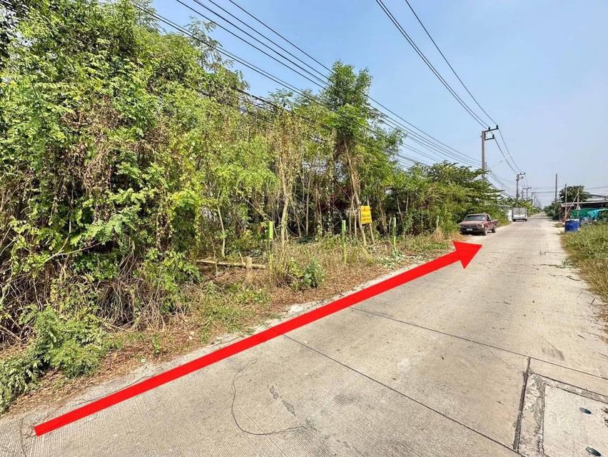 ขายด่วนที่ดินถมแล้ว 75 ตรว.ซอยบงกช 43ถนนเลียบคลอง 2 ต.คลองหลวง จ.ปทุมธานี 5