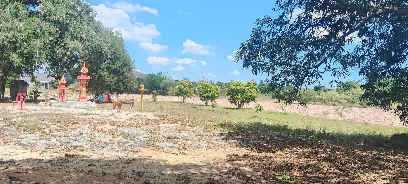 ขายบ้านและที่ดินพร้อมเข้าอยู่ 7