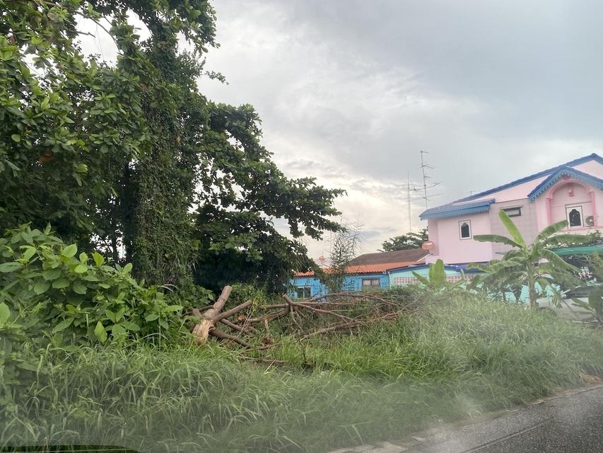 ขายวาละ 45,000 ที่ดิน 188 ตารางวา ซอยเพชรเกษม 68 แยก 28 ใกล้รถไฟฟ้าเดอะมอลล์บางแค 098 7755 808 6