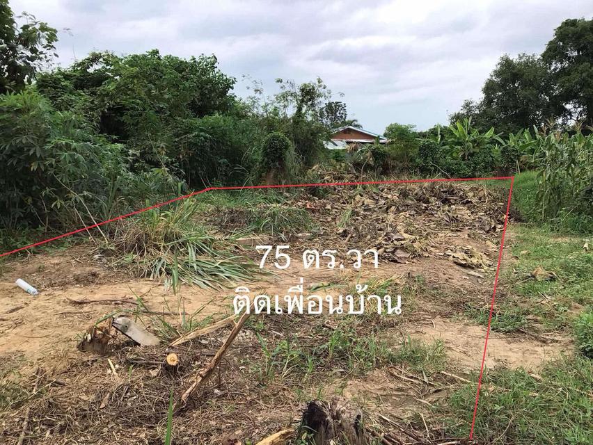 ขายที่ดินเปล่าในใจกลางเมืองกำแพงเพชร ใกล้โรงพยาบาลพิษณุเวชกำลังสร้างใหม่ โรบินสัน บิ๊กซี เจ้าของขายเอง 8