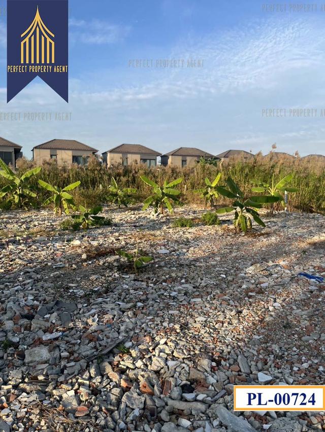 ขายที่ดิน คลองสามประเวศ ลาดกระบัง ขนาด180 ตารางวาเหมาะสร้างบ้านราคาย่อมเยาว์ 4