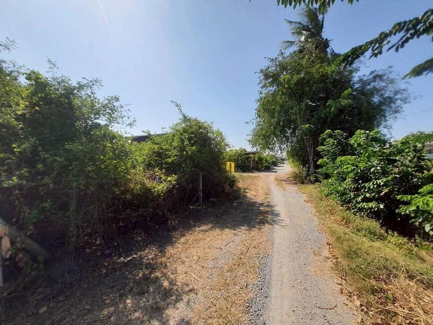 ขายถูก !! ที่ดินใกล้วัดราษฎร์นิยม 200 ตารางวาติดถนนสาธารณะ ถมแล้ว อ.ไทรน้อย จ.นนทบุรี 4