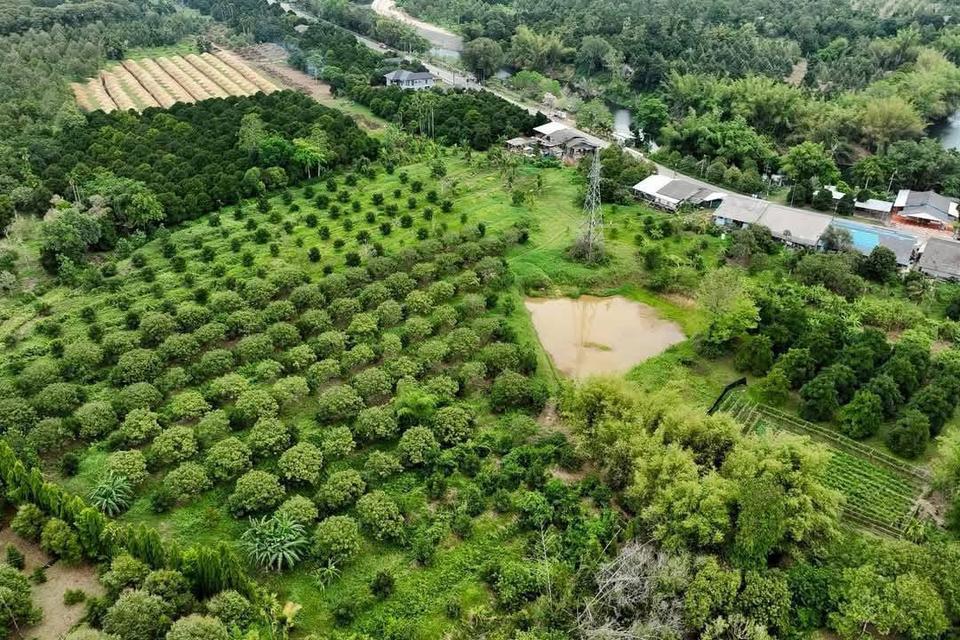 ที่ดิน อ.มะขาม จังหวัดจันทบุรี 2