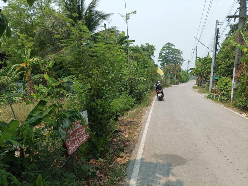 ขายที่ดิน 113ตร.ว. ต.สง่าบ้าน อ.ดอยสะเก็ด จ.เชียงใหม่ 12