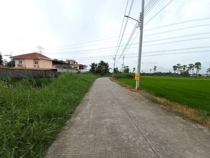 ขายที่ดินเปล่า ซอยบางคูวัด-บางบัวทอง4 (ซอยคลองบุ้ง) ถนน345 2