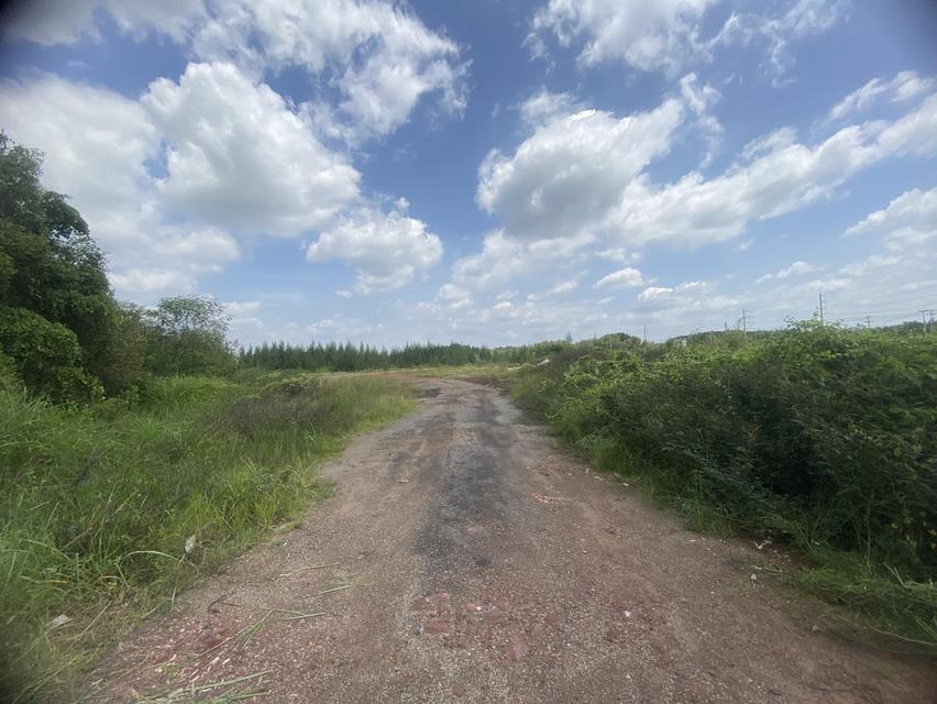 ขายที่ดินเหมาะสร้างหมู่บ้านจัดสรร โกดังเก็บของ 16 ไร่ 3 งาน 21 ตรว 5