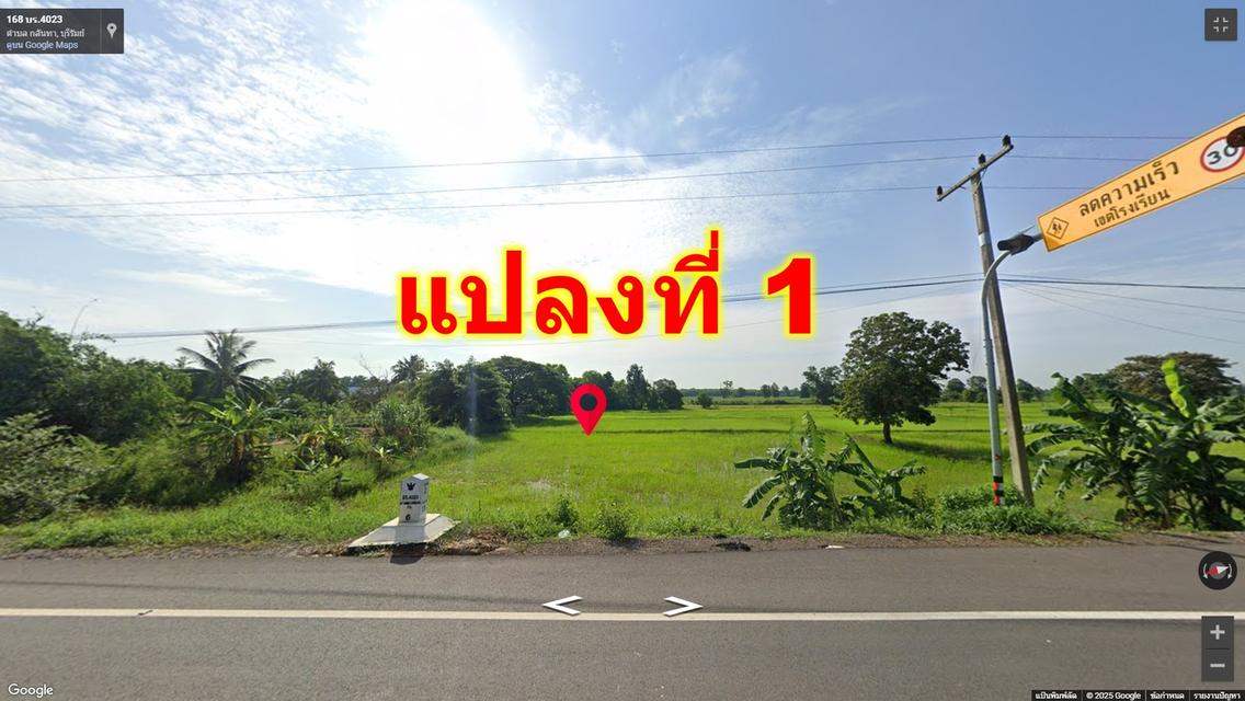 ที่ดินเปล่าทำเลทอง อำเภอเมือง บุรีรัมย์ ที่เปล่า 2 ไร่ แบ่งขาย 4