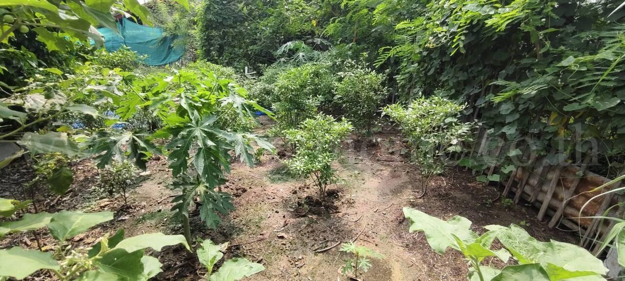 ที่ดินพร้อมสิ่งปลูกสร้าง  2-2-25 ไร่ บางเลน นครปฐม 14