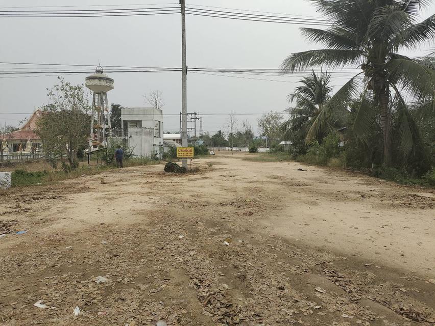 ขายที่ดินเปล่า ทำเลดี ติดถนน​ อำเภอวชิรบารมี จังหวัดพิจิตร  8