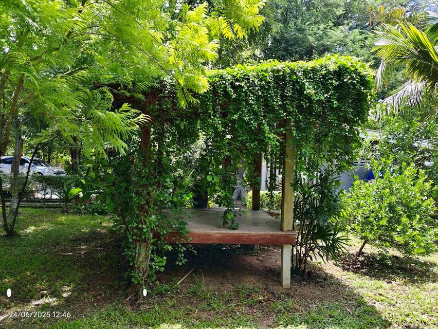 บ้านสวนในฝัน…กลางเมืองสระแก้ว 14