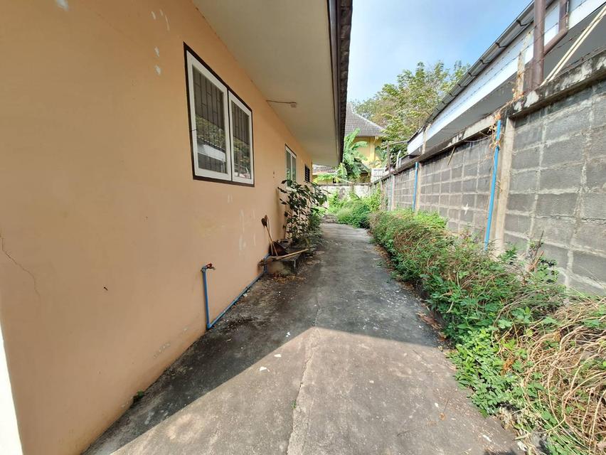 ขายที่ดินแถมบ้านหรือให้เช่า ซ.เสนานิคม 1 ใกล้ปากทาง ขนาด 173 ตารางวา  8