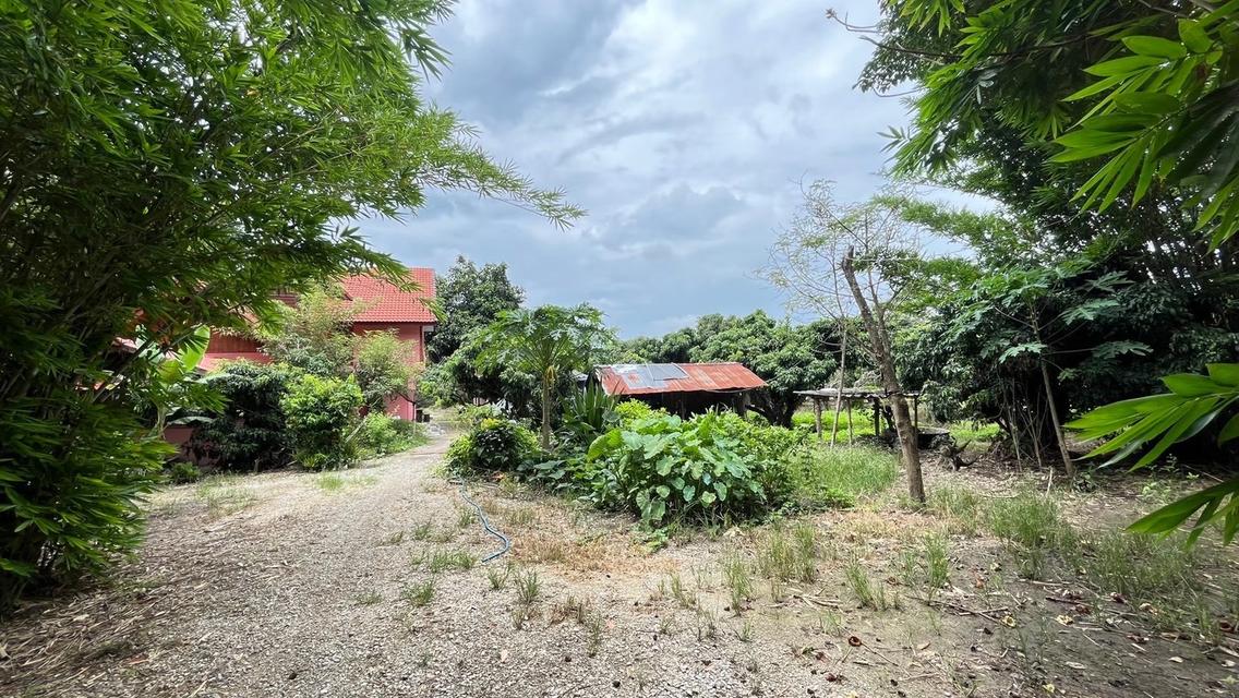 บ้านพร้อมที่ดิน 26ไร่ 5
