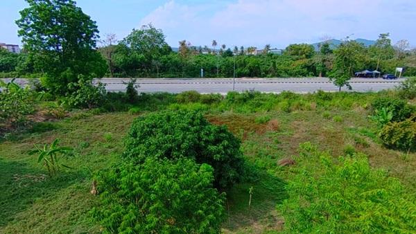 ที่ดินEEC ทำเลทองในระยอง แปลงสวยติดถนนใหญ่ ที่ดินศักยภาพสูง ใกล้สนามบินอู่ตะเภา เพียง 15 นาที!! โทร 064-5469789 5