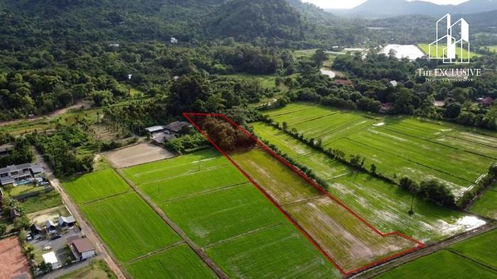 ขายที่ดินวิวเขา เกือบ 6 ไร่ เขาพระ จ.นครนายก  ทำเลสวย ติดถนนใหญ่ ใกล้แหล่งท่องเที่ยว เหมาะทำรีสอร์ท–คาเฟ่–บ้านพักตากอากาศ 3