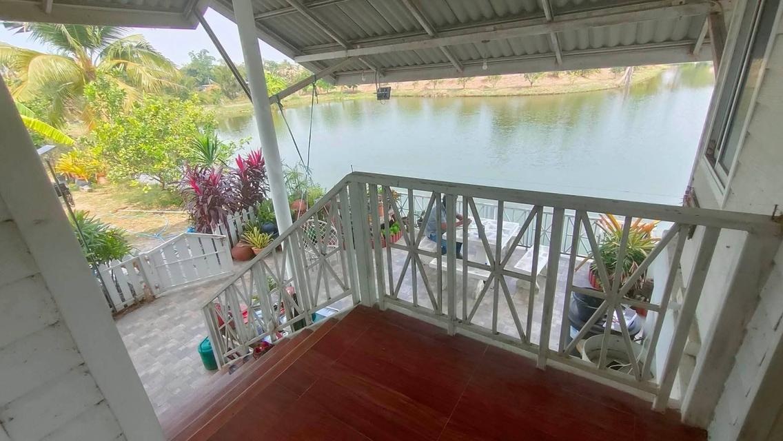 บ้านพร้อมที่ดินแปลงใหญ่ 5