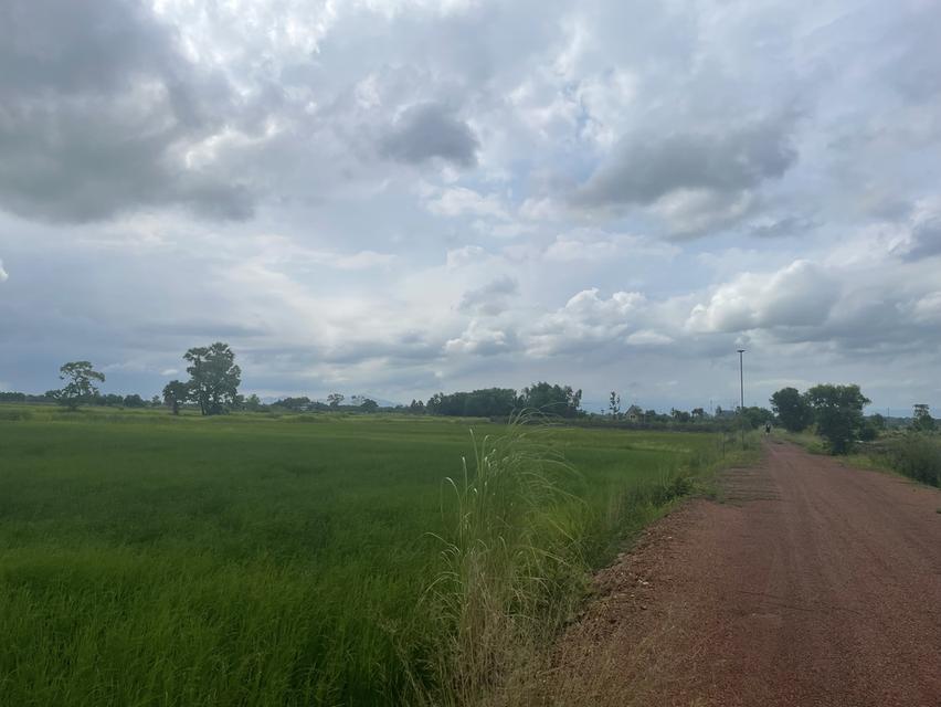 ที่ดินวิวเขา นครนายก สองไร่ 3