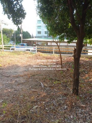 ที่ดิน ขายที่ดินเปล่าถมแล้ว ซ.ลาดพร้าว 94 (ตรงข้ามห้างอิมพิเรียล เวิลด์ ลาดพร้าว) 88 ตร.ว. ราคา 15 ล้านบาท (โอนฟรี) ใหญ่