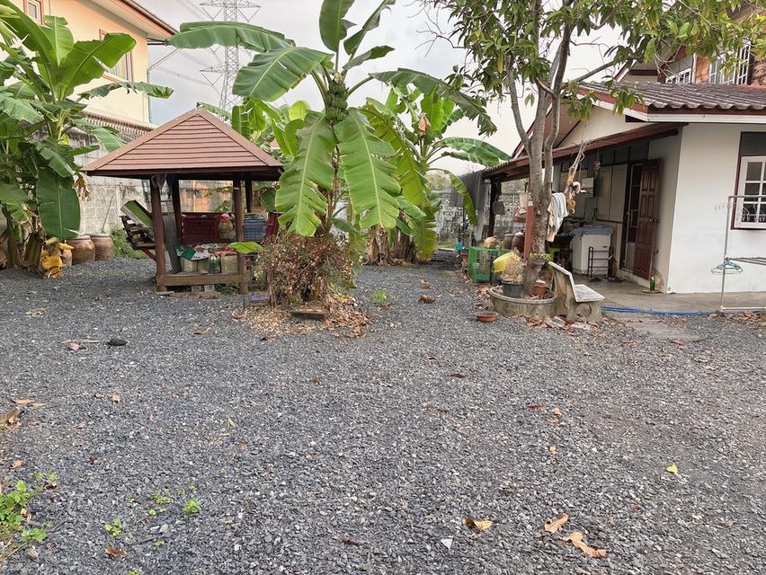 ทีดินพร้อมสิ่งปลูกสร้าง (เจ้าของขายเอง) 3